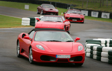 Ferraris at Goodwood